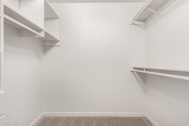 spacious closet with carpet flooring