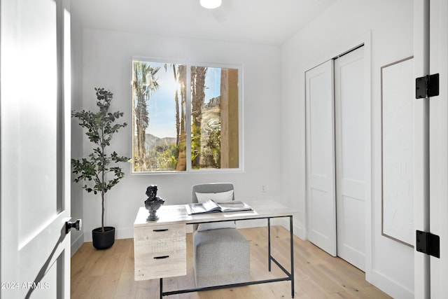 office space featuring light hardwood / wood-style floors