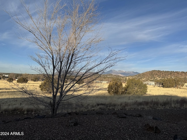 exterior space featuring a mountain view