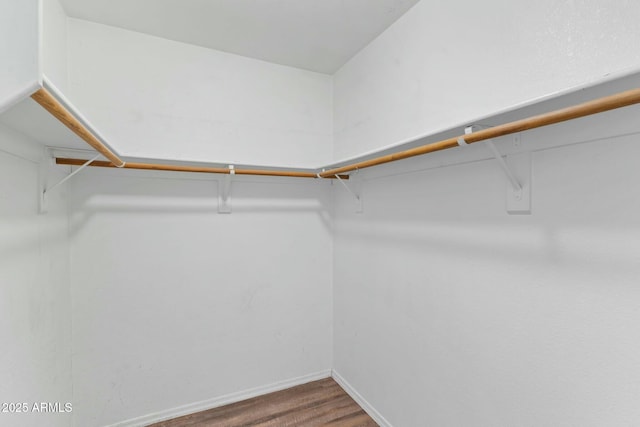 walk in closet with hardwood / wood-style flooring