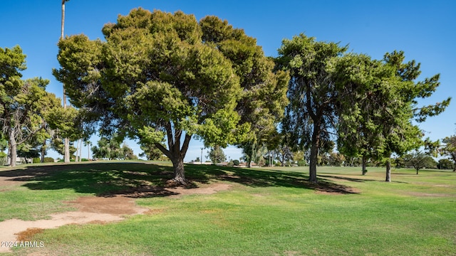 view of property's community with a yard