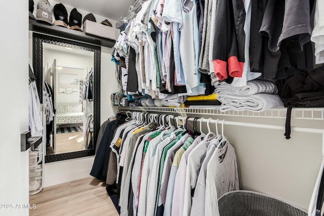 spacious closet featuring light wood-type flooring