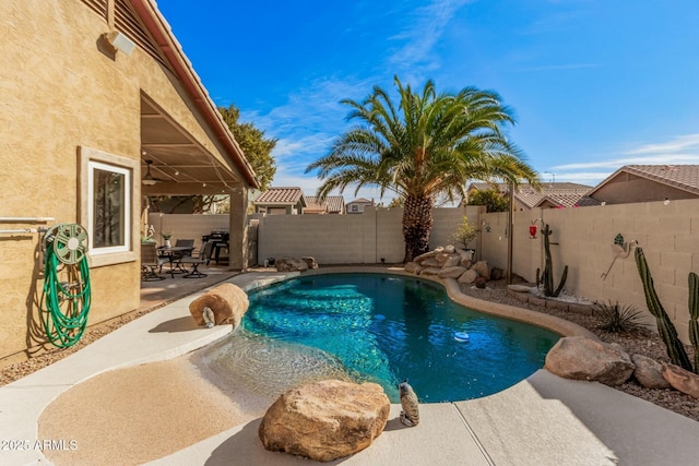 view of swimming pool featuring a patio area