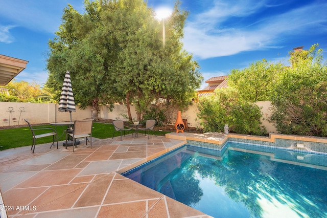 view of pool featuring a patio