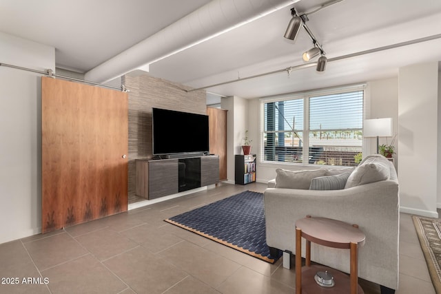 living room featuring rail lighting and a barn door