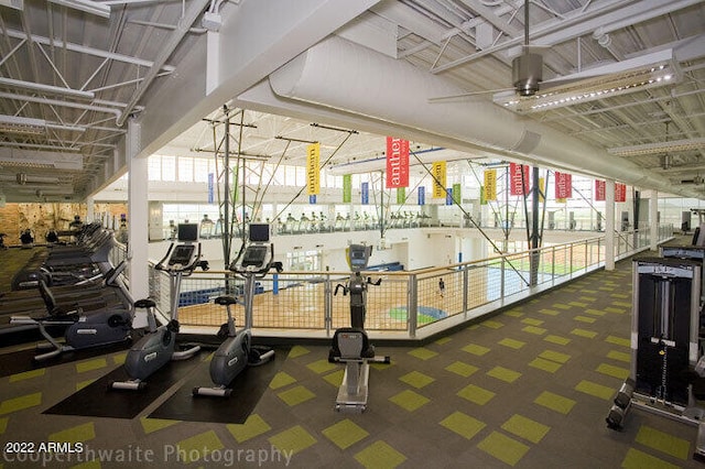 workout area featuring a ceiling fan and carpet flooring