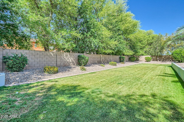1890 E Sagittarius Pl, Chandler, AZ 85249 - view of yard
