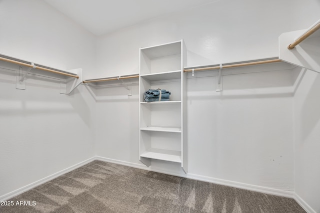 8944 N 180th Dr, Waddell, AZ 85355 - spacious closet featuring carpet