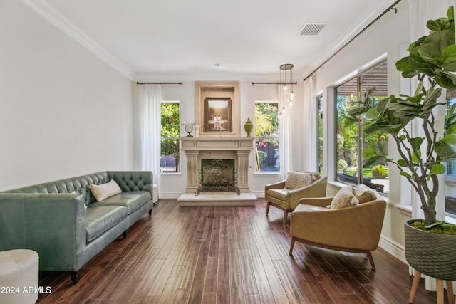 interior space with dark hardwood / wood-style flooring, a wealth of natural light, and crown molding