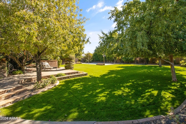 view of yard with a patio area