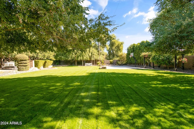 view of yard featuring basketball hoop