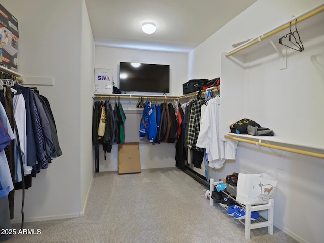 spacious closet with carpet flooring