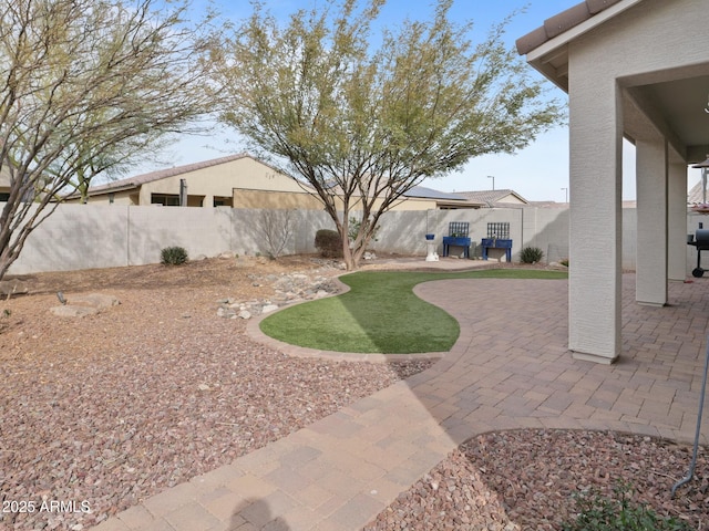 view of yard featuring a patio area