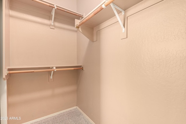 spacious closet with carpet