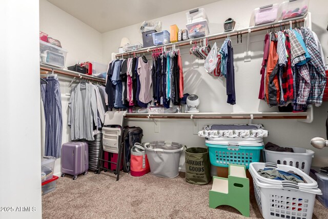 13123 W Cottontail Ln, Peoria, AZ 85383 - walk in closet with carpet