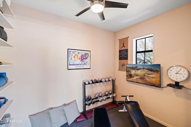 exercise room featuring ceiling fan and carpet