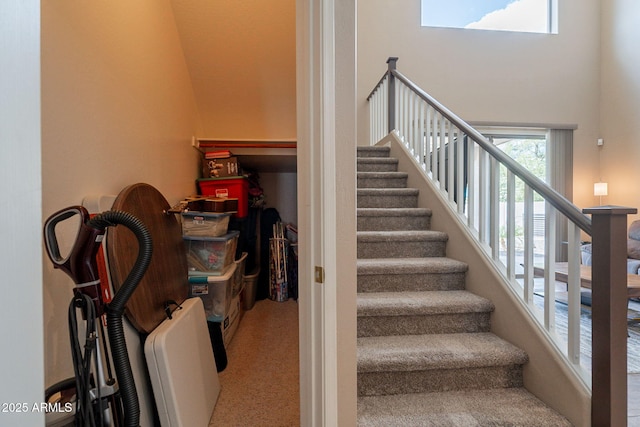 stairway featuring carpet and a high ceiling
