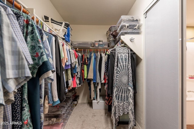 walk in closet featuring carpet flooring