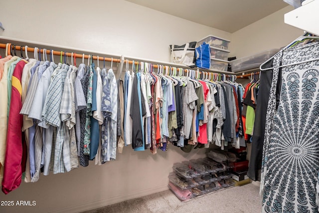 walk in closet with carpet