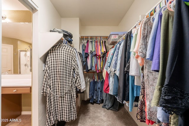 spacious closet featuring carpet flooring