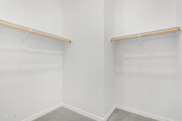 walk in closet with carpet