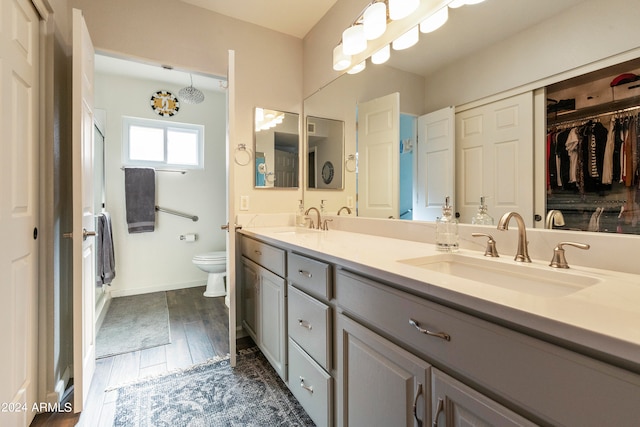 bathroom with wood-type flooring, vanity, and toilet