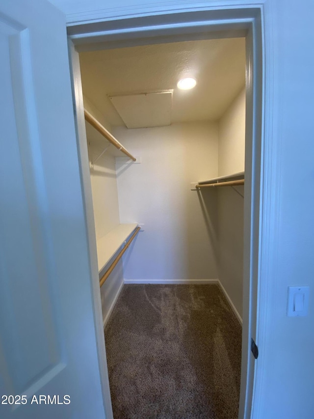 spacious closet with carpet floors