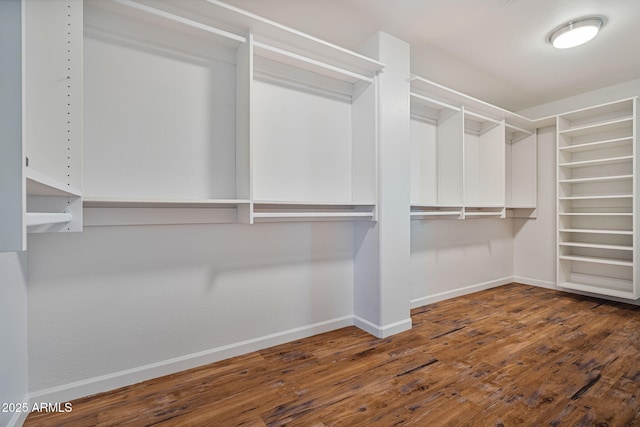 walk in closet with dark hardwood / wood-style floors