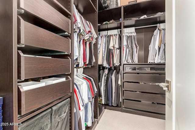 view of spacious closet