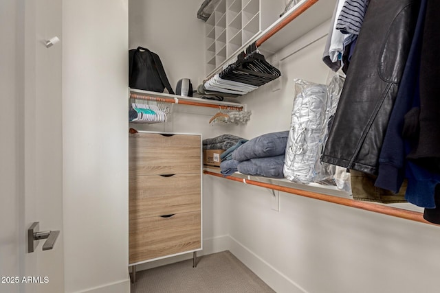 spacious closet featuring carpet floors