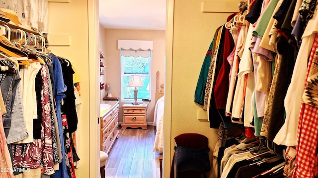 2064 S Farnsworth Dr Unit 38, Mesa, AZ 85209 - spacious closet with wood finished floors