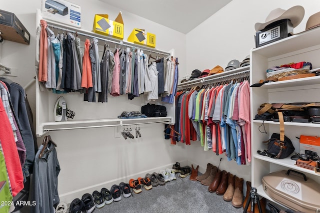 view of spacious closet