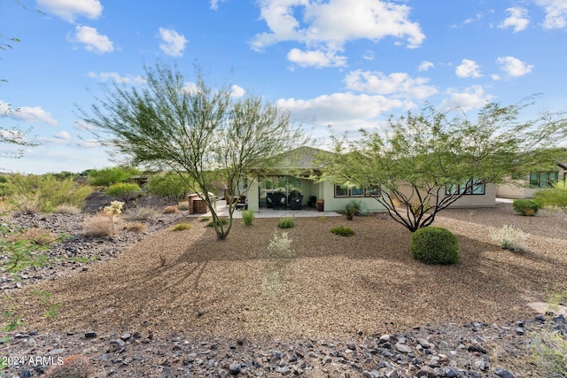 view of yard with a patio