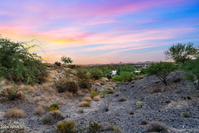 view of nature at dusk