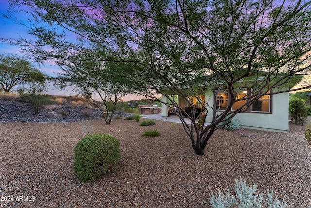 view of yard featuring a patio