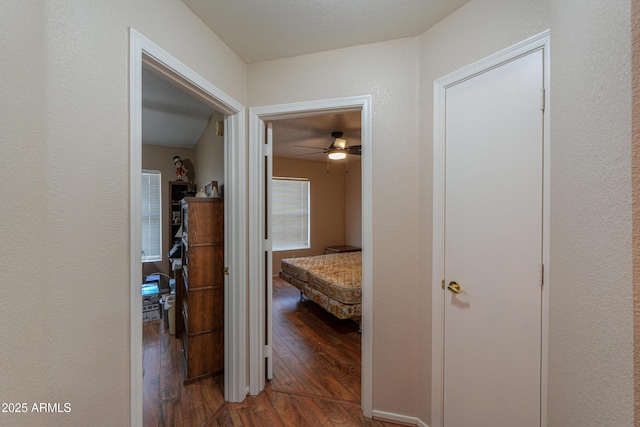 corridor with dark hardwood / wood-style flooring