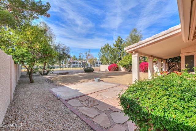 view of yard featuring a patio