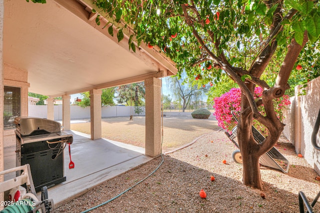 view of patio / terrace with grilling area