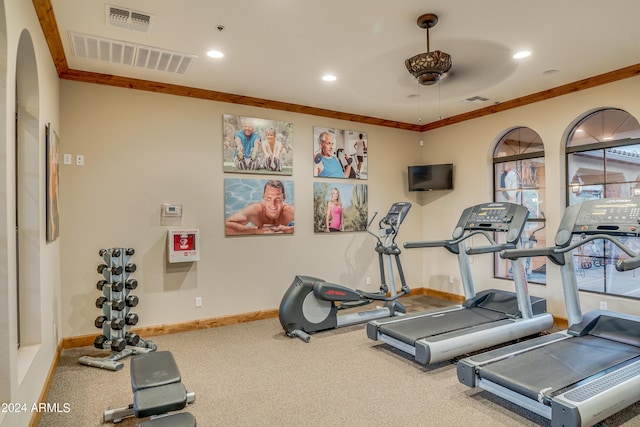 workout area featuring carpet, ceiling fan, and ornamental molding