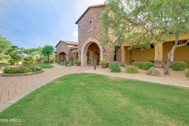 back of house featuring a yard