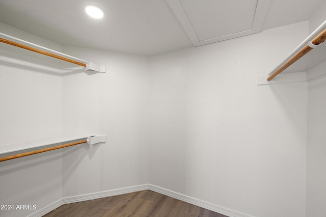 walk in closet with hardwood / wood-style flooring