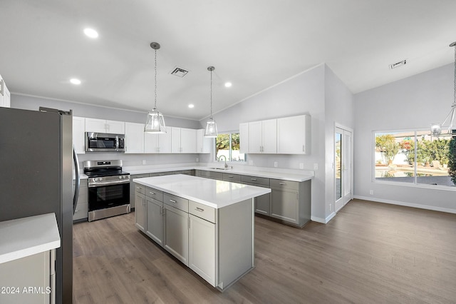 kitchen with sink, plenty of natural light, wood-type flooring, and appliances with stainless steel finishes