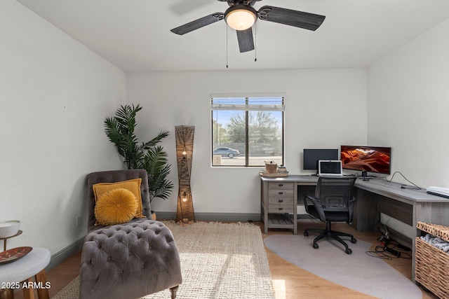 office with ceiling fan and light hardwood / wood-style flooring