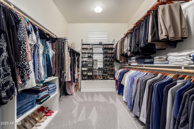 spacious closet with carpet flooring