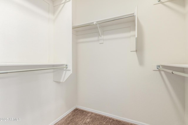 25945 W Runion Dr, Buckeye, AZ 85396 - spacious closet featuring carpet