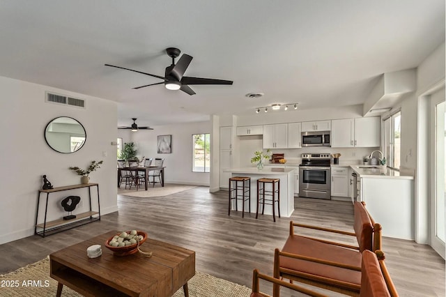 living room featuring hardwood / wood-style flooring, rail lighting, and sink