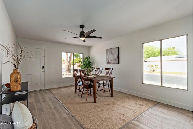 dining space featuring light hardwood / wood-style floors and ceiling fan