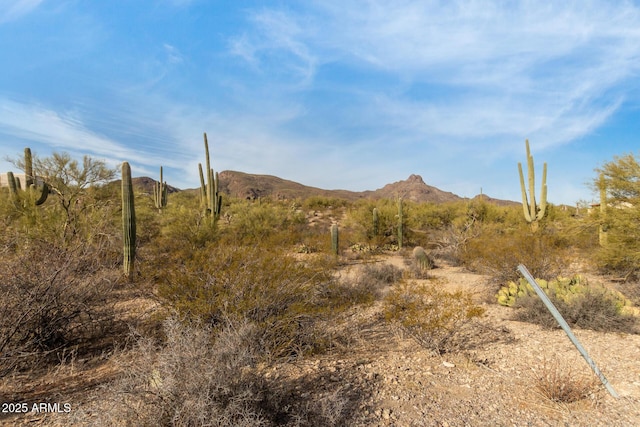 7051 N Harold Dr Unit 00004, Tucson AZ, 85743 land for sale