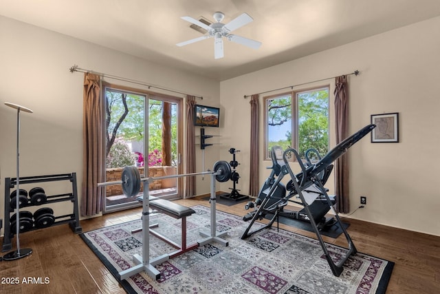 exercise room featuring wood finished floors, ceiling fan, and plenty of natural light