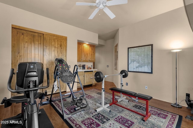 workout room featuring wood finished floors and a ceiling fan